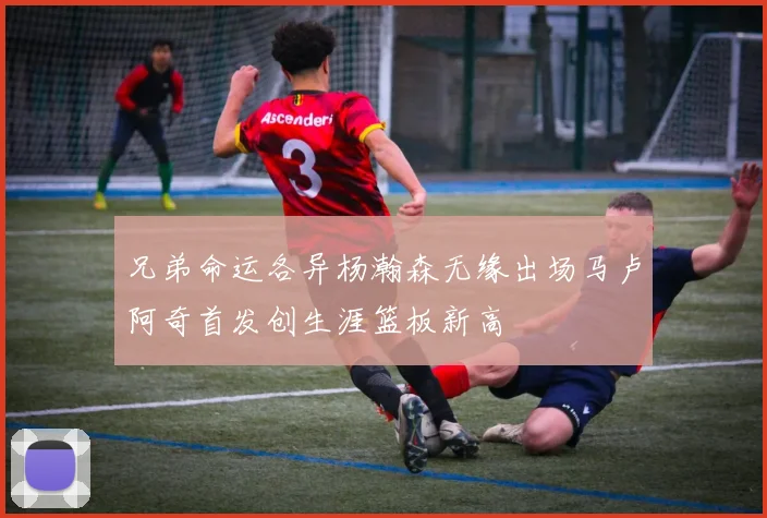 兄弟命运各异杨瀚森无缘出场马卢阿奇首发创生涯篮板新高